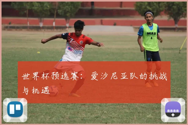 世界杯预选赛:爱沙尼亚队的挑战与机遇